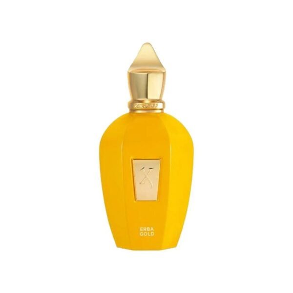 Tester Erba Gold Xerjoff  EDP 100ML Unisex Perfume Fragrance